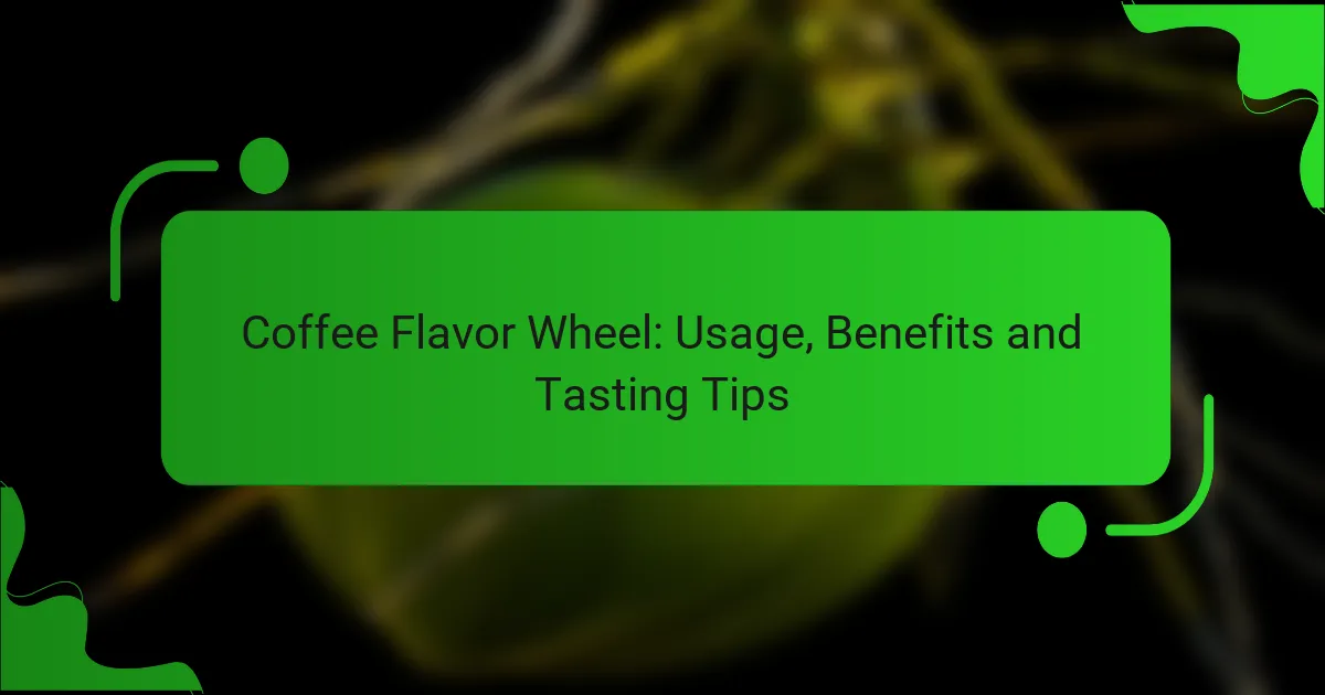 Coffee Flavor Wheel: Usage, Benefits and Tasting Tips