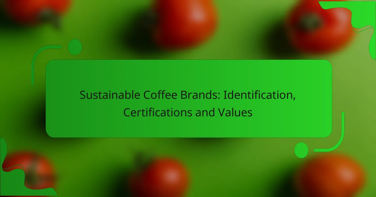 Sustainable Coffee Brands: Identification, Certifications and Values
